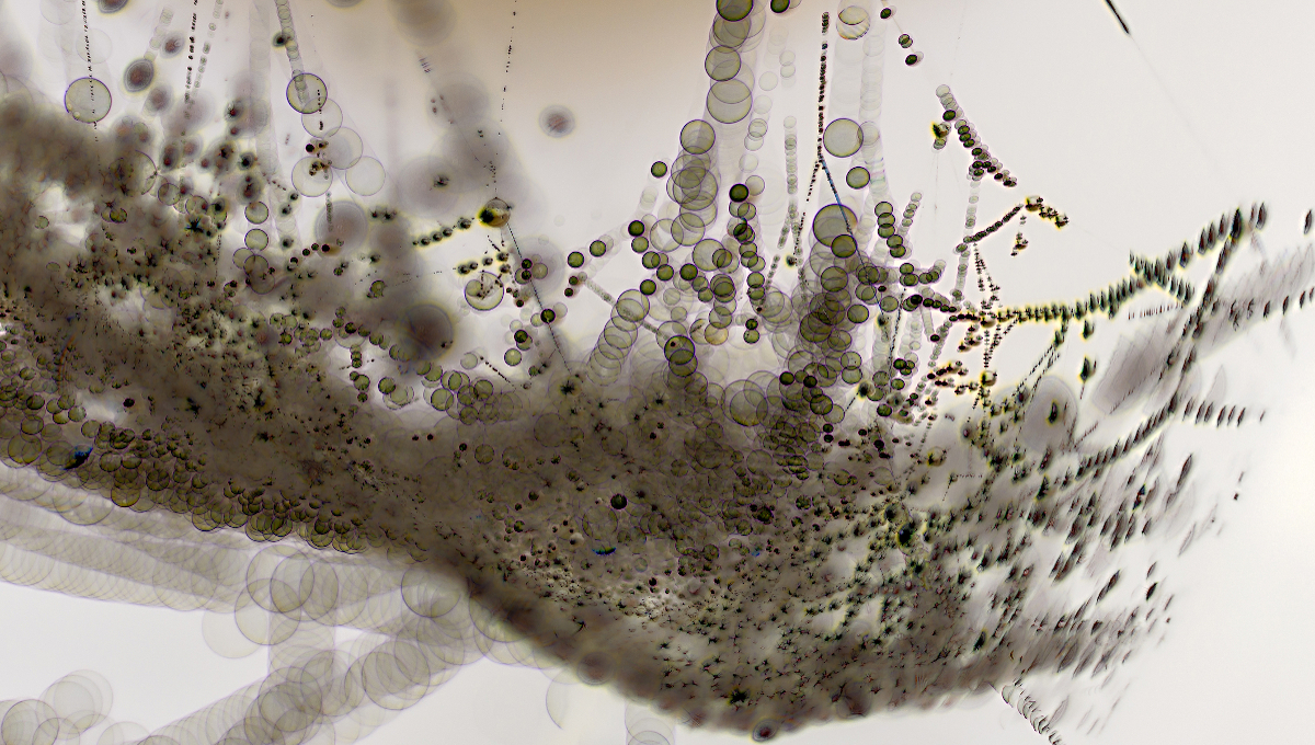 biofilm