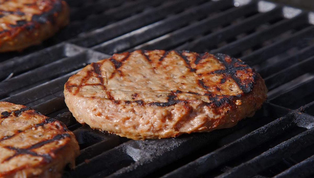 dreamstime_burger meat beef bbq barbecue