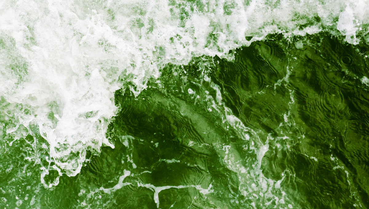 green ocean