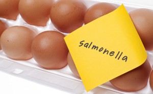 Salmonella-and-raw-eggs-300x184