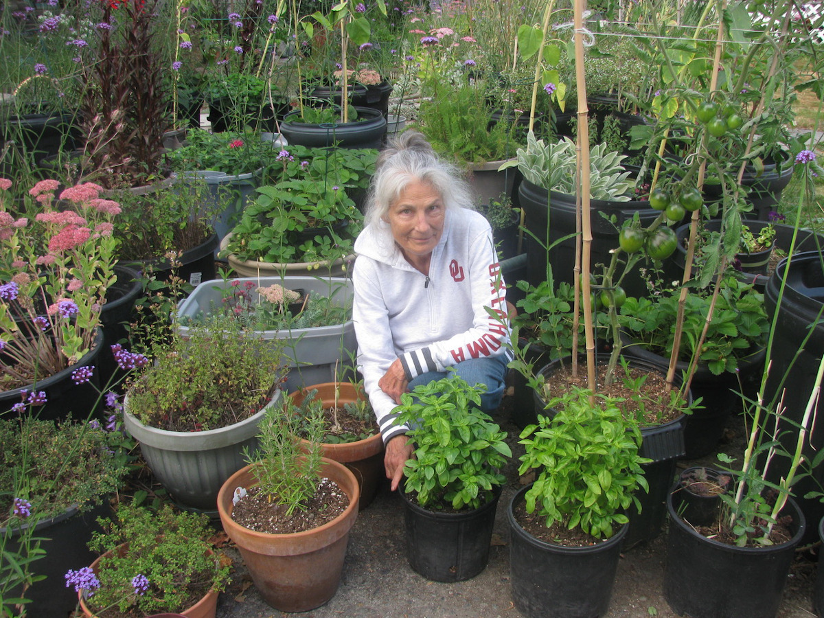 urban gardening Cookson
