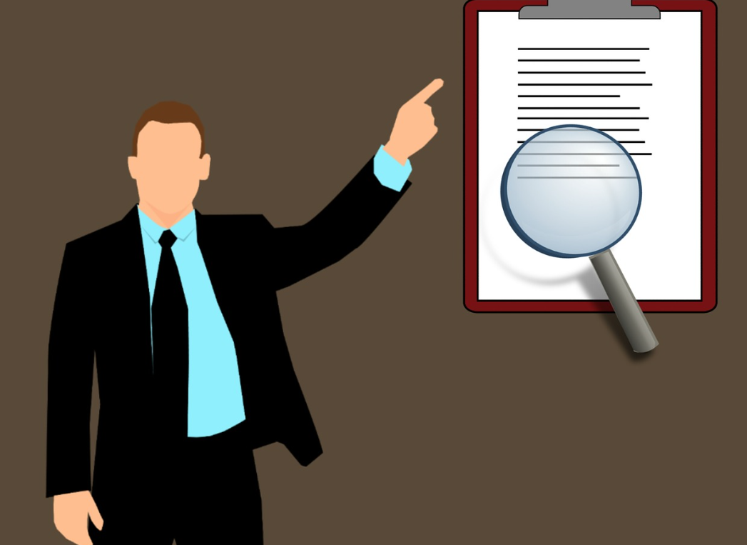 audit official control